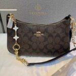Elegant Brown Crossbody Bag – Compact Chic Daily Shoulder Bag